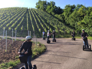 Segwaytouren in Aspach bei Backnang Segwaytouren in Aspach bei Backnang